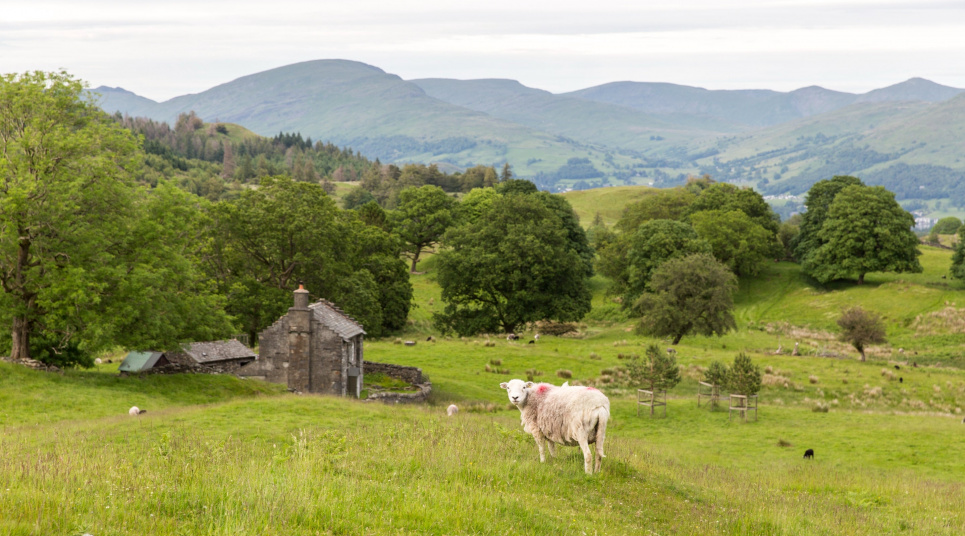 Фото: Static.nationaltrust.org.uk