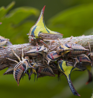 Фото: Discoverwildlife.com