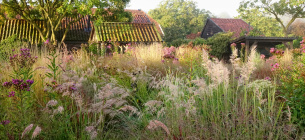 Фото: Thenewperennialist.com