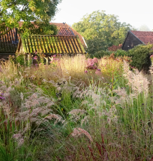 Фото: Thenewperennialist.com