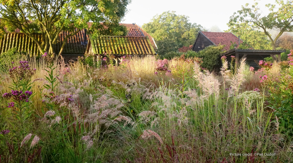 Вне клумб: новая волна в ландшафтном дизайне ФОТО Фото: Thenewperennialist.com