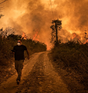 Фото: Vox.com