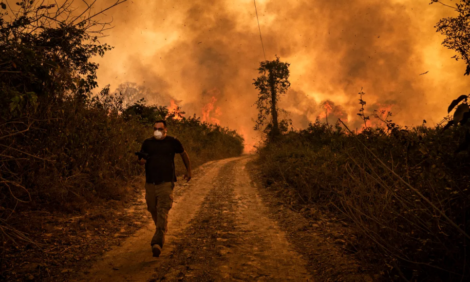 Фото: Vox.com