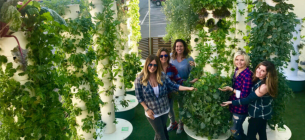 Фото: Adrianasisoaeroponics.com