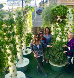 Фото: Adrianasisoaeroponics.com