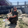 Екоінспекція перевіряє воду в Чорному морі через масове скупчення водоростей Фото: ДЕІ