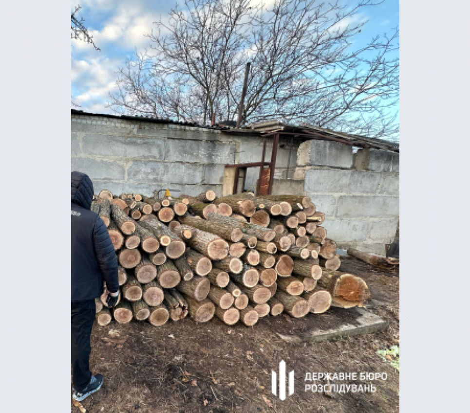 ДБР викрило посадовців лісництва на Харківщині, які організували вирубку на 12 млн грн ДБР викрило лісників на Харківщині, що організували рубки на 12 млн грн