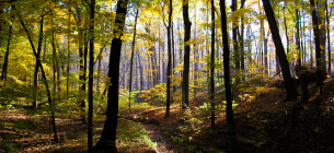 Фото: Metroparks.net
