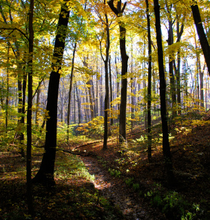 Фото: Metroparks.net