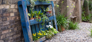 Фото: Gardenersworld.com