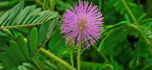 Фото: Cafr.ebay.ca