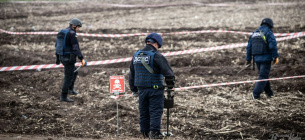 Україна прискорює розмінування сільськогосподарських земель