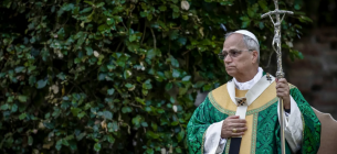 Климатическая миссия Папы: от «Laudato Si'» до «зеленой» Мессы. Фото: Christian Gennari/AFP/Getty Images