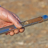 фото: Unitedsoilsinc.com