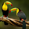Фото: Earth.com