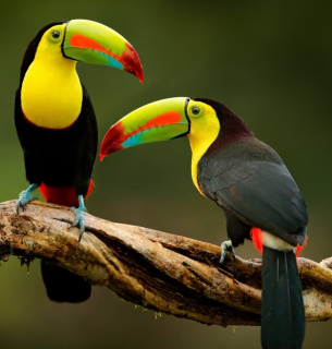 Фото: Earth.com