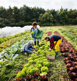 Иллюстративное изображение.
Фото: Dengarden.com