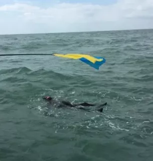 Українець встановив світовий рекорд, перепливши Ла-Манш на спині Українець Олег Іваненко переплив Ла-Манш на спині, встановивши світовий рекорд