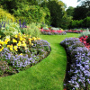 Хаос — нова гармонія: асиметричні дизайни Фото: Gardeningknowhow.com