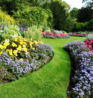 Хаос — нова гармонія: асиметричні дизайни Фото: Gardeningknowhow.com