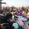 АМКУ закликав місцеві ради забезпечити доступ до ринку ритуальних послуг АМКУ закликав місцеві ради забезпечити доступ до ринку ритуальних послуг