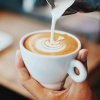 Фото: Truth-about-coffee-impact-on-environment-planet