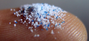 Невидима загроза, що оплітає корінням світ: мікропластик у рослинах Зображення ілюстративне.
Фото: Deutschlandfunk.de