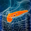 Фото: Magazine.medlineplus.gov