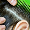 Фото: flickr.com
