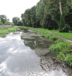 Після мору риби: у Хмельницькому активісти закликають врятувати річку Плоску Активісти просять врятувати річку Плоску в Хмельницькому