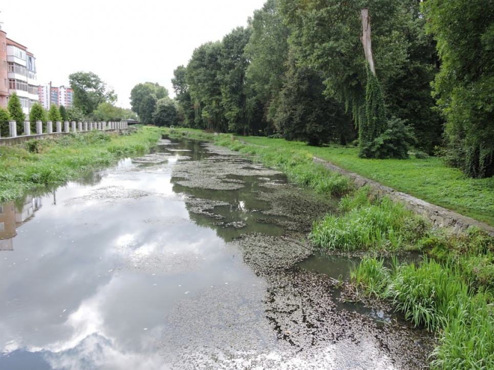 Після мору риби: у Хмельницькому активісти закликають врятувати річку Плоску Активісти просять врятувати річку Плоску в Хмельницькому