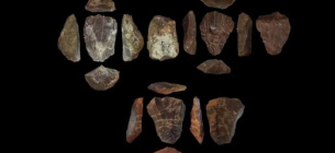 Фото: Blinkhorn, et al., 2021 - CC BY 4.0