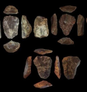 Фото: Blinkhorn, et al., 2021 - CC BY 4.0