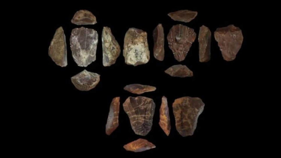 Нове відкриття в Ізраїлі переписує історію: неандертальці та Homo sapiens співпрацювали Фото: Blinkhorn, et al., 2021 - CC BY 4.0