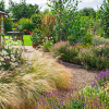Зображення ілюстративне.
Фото: Gardenersworld.com