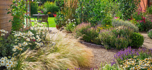 Зображення ілюстративне.
Фото: Gardenersworld.com