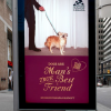 "Man's True Best Friend": Сабріна Карпентер та канадські притулки об'єдналися заради собак Фото: mmr.ua
