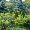 Фото: Houzz.com