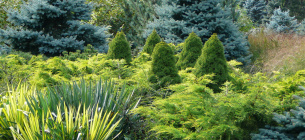 Фото: Houzz.com