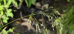 Фото: Prairieresto.com