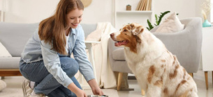 Харчування собак великих порід: як уникнути проблем із суглобами Харчування собак великих порід: як уникнути проблем із суглобами