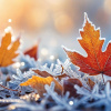 Фото: Stablediffusionweb.com