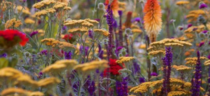 Фото: quickcrop.ie