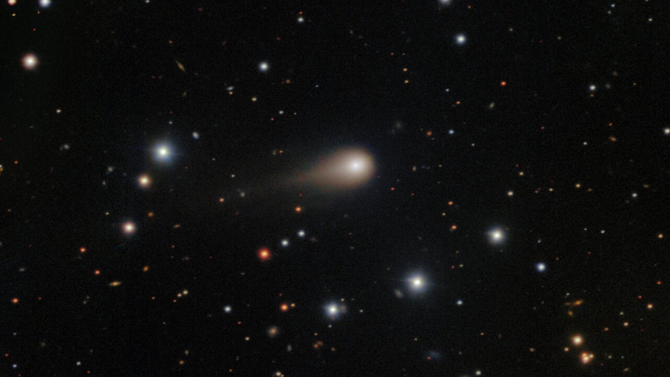 Прибульці чи звичайна комета? У NASA спростували чутки Фото: Livescience.com