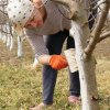 Фото: Gardening.org