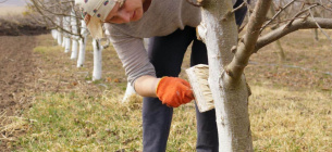Фото: Gardening.org