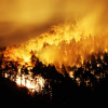 Фото: Cnn.com