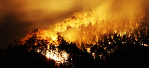 Фото: Cnn.com