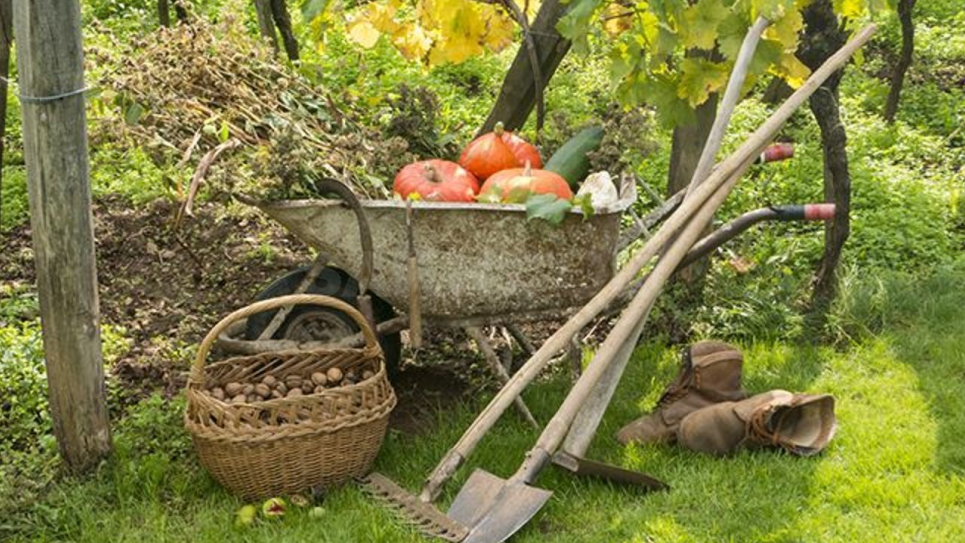 Подготовка к холодам: как ухаживать за садом осенью Осенний уход за садом: ключевые советы и работы