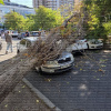 Фото: Думська